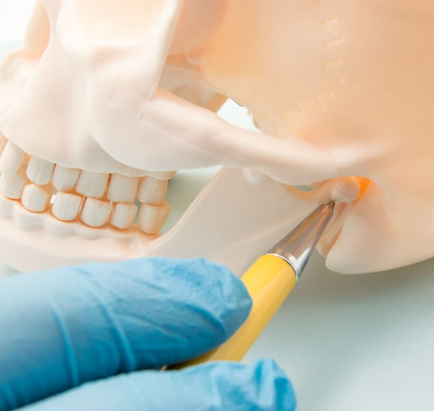 Dentist gesturing to the jaw joint on a model of the skull